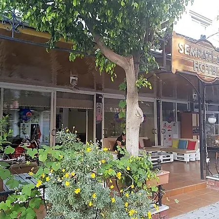 셈파티
